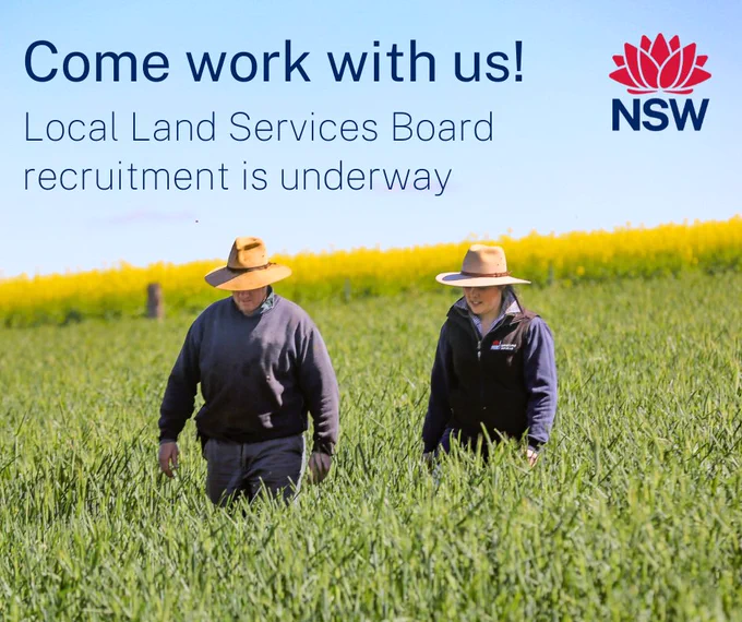 Come work with us! 
Local Land Services Board recruitment is underway

Two people in a field