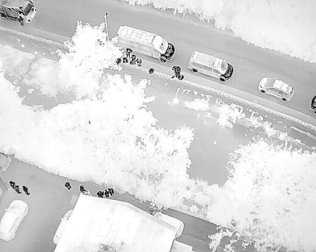 Thermal view of scene