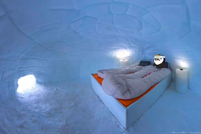 fast food pudgy penguins are back