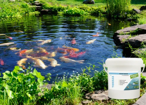 TERRAA  Probiotic Water Purifier is a natural water cleaner that is ideal for freshwater, saltwater and tropical indoor aquariums, heated and non-heated. 
 
- Improves water quality.
- Reduces algae growth.
- Neutralises toxic compounds.
- Prevents silt and sludge.


Find out more: TERRAA  Probiotic Water Purifier 