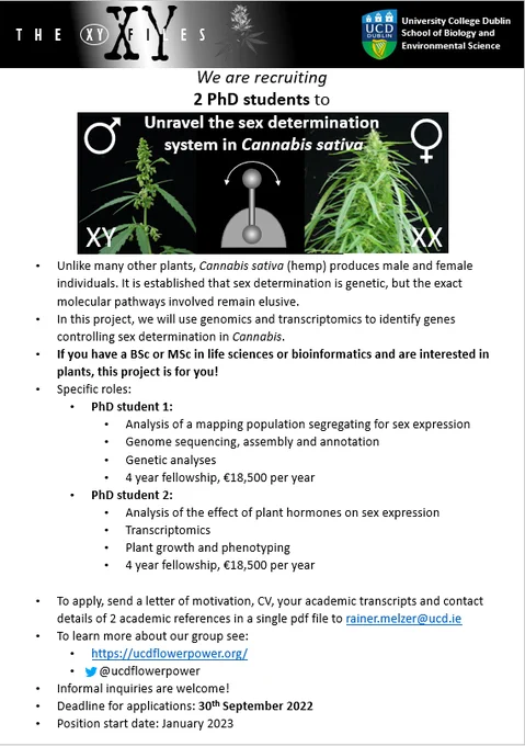 Unlike many other plants, Cannabis sativa (hemp) produces male and female individuals. Sex determination is genetic, but the exact molecular pathways involved remain elusive.
In this project, we will use genomics and transcriptomics to identify genes controlling sex determination in Cannabis.
If you have a BSc or MSc in life sciences or bioinformatics and are interested in plants, this project is for you!
Specific roles:
PhD student 1: 
Analysis of a mapping population segregating for sex expression
Genome sequencing, assembly and annotation
Genetic analyses
4 year fellowship, €18,500 per year

PhD student 2:
Analysis of the effect of plant hormones on sex expression
Transcriptomics
Plant growth and phenotyping
4 year fellowship, €18,500 per year

To apply, send a letter of motivation, CV, your academic transcripts and contact details of 2 academic references in a single pdf file to rainer.melzer@ucd.ie
Deadline for applications: 30th September 2022 
Position start date: January 2023