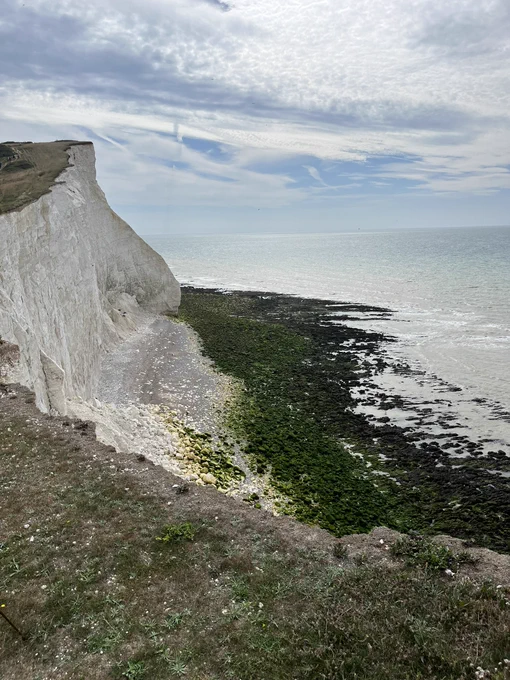 White cliff profile, with algae rocks leading into the water