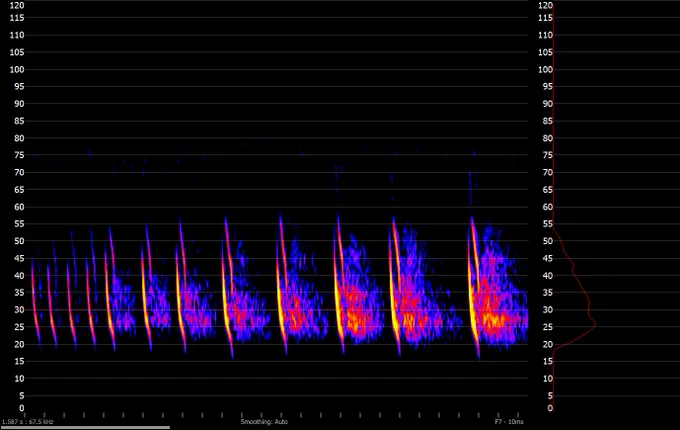 A Brown-long eared bat recording visualised using Anabat Insight.  Many thanks to Stuart Newson for his help with the identification.