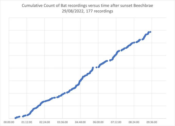 Steady bat foraging at Beechbrae during a milder night.