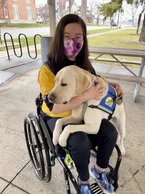 Reggie demonstrating lap by putting his front paws on his person’s lap. His person is in a wheelchair and is wearing a mask. She has her arms around Reggie, snuggling him.