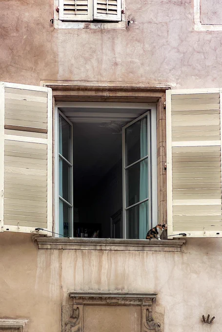 Cat sitting on a window sill