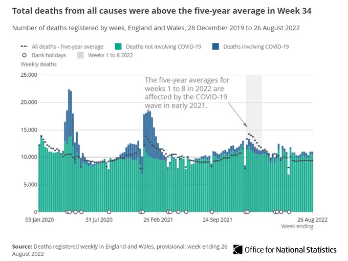 Stacked bar and line chart showing total deaths from all causes were above the five-year average in Week 34. 
