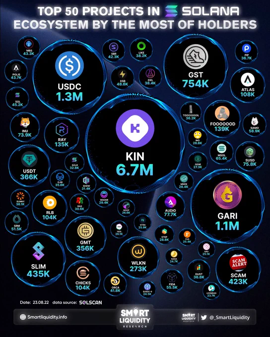 TOP 50 PROJECTS IN SOLANA ECOSYSTEM BY THE MOST OF HOLDERS
