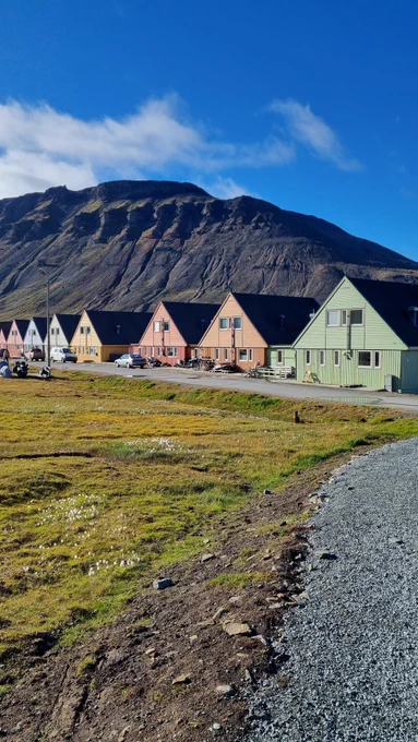 Colourful huts with mountain in the background