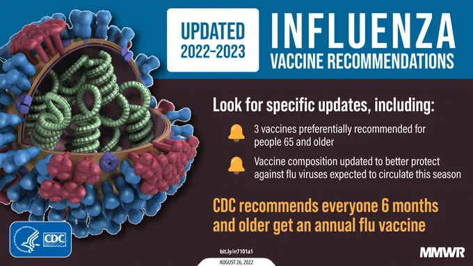 Illustration of the flu virus. Updated 2022-2023 Influenza Vaccine Recommendations. Look for specific updates including: 3 vaccines preferentially recommended for people 65 and older, and Vaccine composition updated to better protect against flu viruses expected to circulate this season. CDC recommends everyone 6 months and older get an annual flu vaccine.