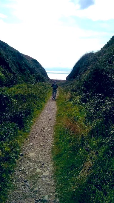 Glimpse of the sea on the way to St Ninian's Cave, Physgill, near Withorn, Dumfries and Galloway