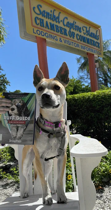 Ruff Guide book with dog outside San Cap Chamber of Commerce.
