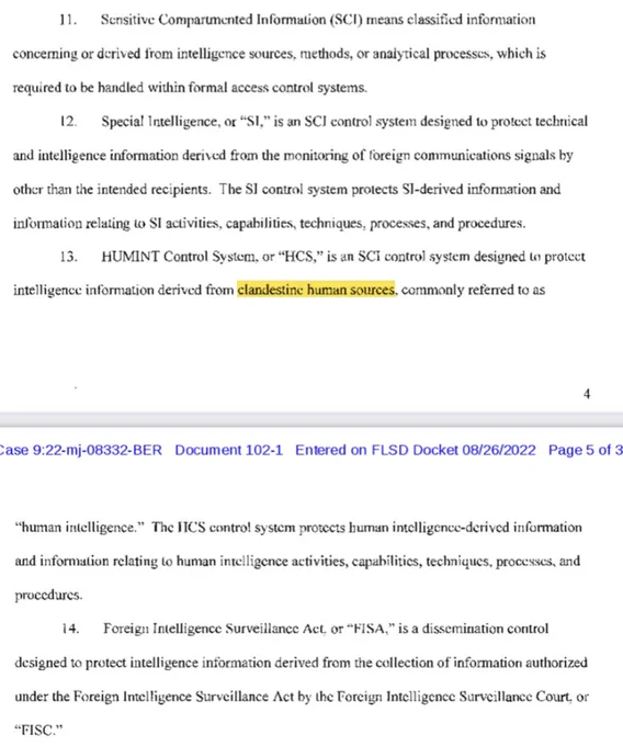 Excerpt from Trump's search warrant affidavit
