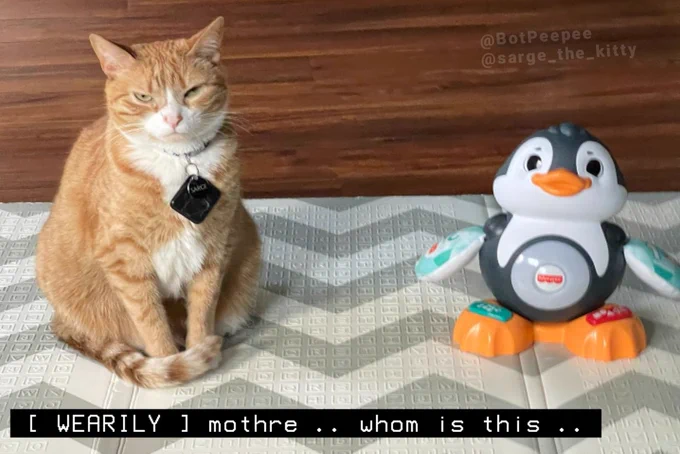 Sarge the cat looks grumpy sitting next to a cheery penguin toy.

Tone word: WEARILY
Caption: mother .. whom is this ..