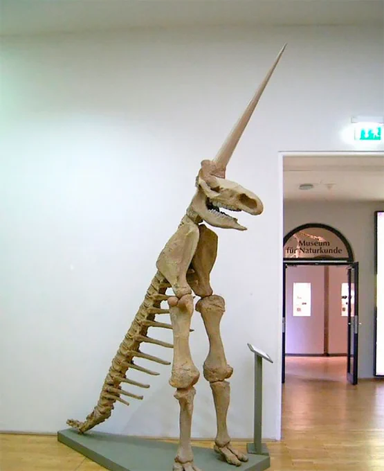 The Magdeburg Unicorn: a fantastically bad fossil reconstruction, with a big single horn, no back, two legs, and a big tail — which, if you wanted to monetize it for four year old girls, you’d make a stuffie like the other photo