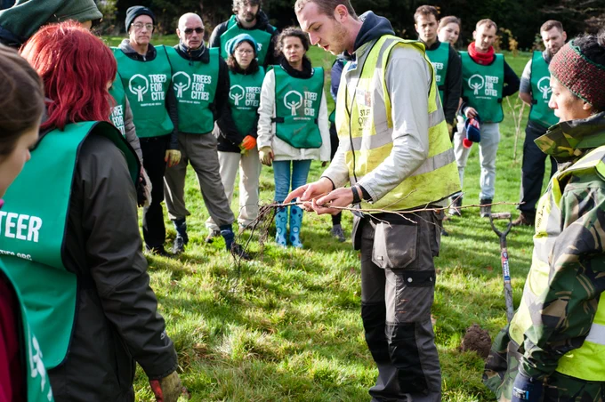 A group of Trees for Cities volunteers listening to one of our Urban Forest Coordinators as he shows them a whip tree's roots. 