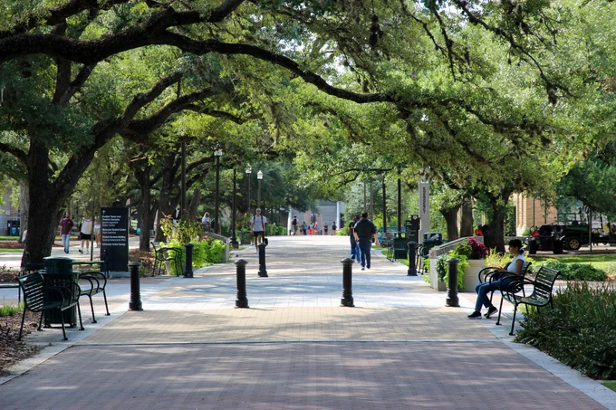 Students walking down Military Walk.