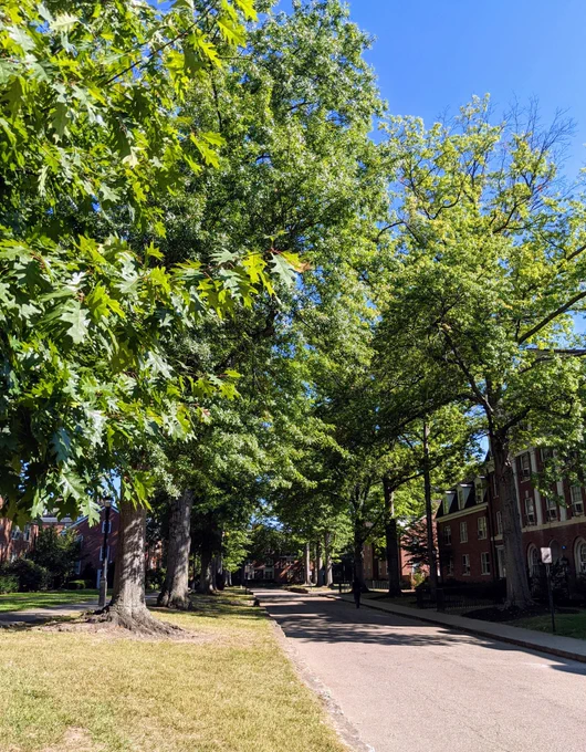 Ohio University's East Green, with tall, leafy trees and red brick residence halls.