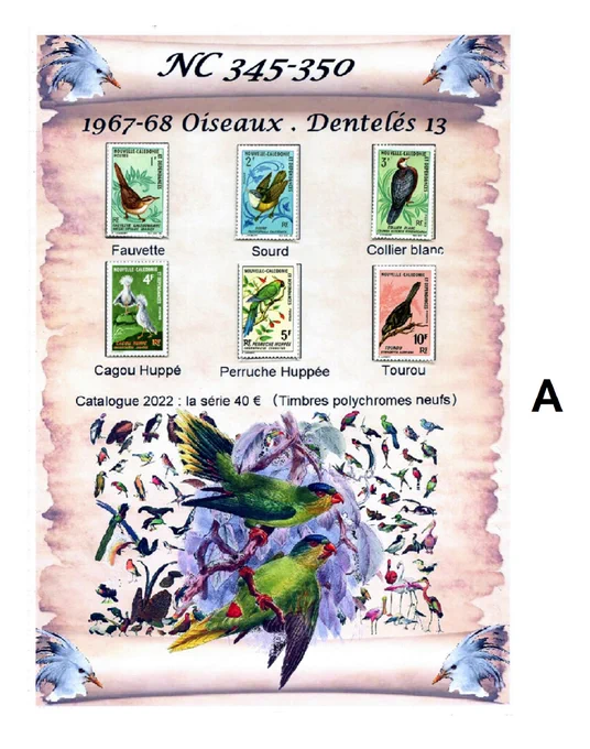 🔹 4 possible variations are on sale:

1 - Basic item A includes:
a photo montage with:
. the quotation of the stamps by Yvert and Tellier: 40 €
. a potpourri of multicolored birds
. at the four corners of this montage, the head of a crested cagou
digital printing of this photo montage on which the stamps have been placed: they are inserted into an individual made-to-measure envelope which is glued; the stamps are therefore protected.
(A4 size photo paper, imitation parchment).