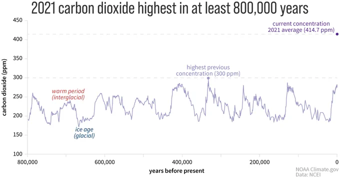 2021 carbon dioxide.