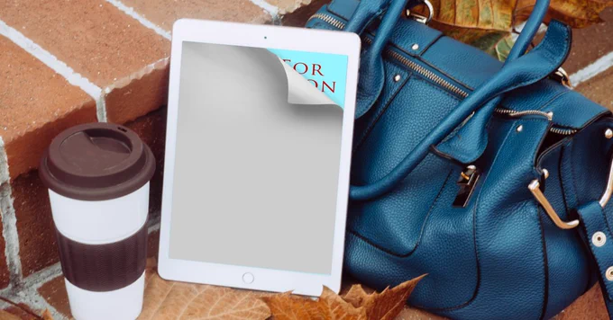 book reveal with purse