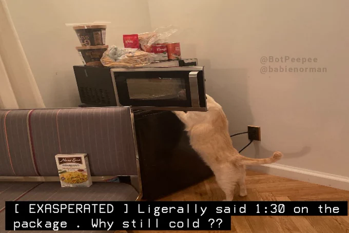 Norman the cat stands with his head peeking into an open microwave on top of a mini fridge.

Caption: [ EXASPERATED ] Ligerally said 1:30 on the package . Why still cold ??