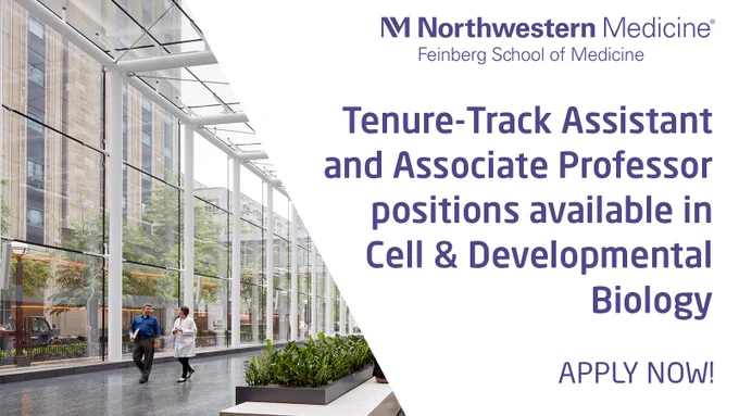 Photo of two faculty members walking and talking in an open atrium space with text reading: "Northwestern Medicine, Feinberg School of Medicine; Tenure-Track Assistant and Associate Professor positions available in Cell & Developmental Biology; Apply now!"