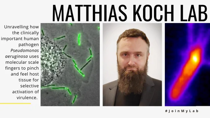 Matthias Koch Lab:  Unravelling how the clinically important human pathogen Pseudomonas aeruginosa uses molecular scale fingers to pinch and feel host tissue for selective activation of virulence