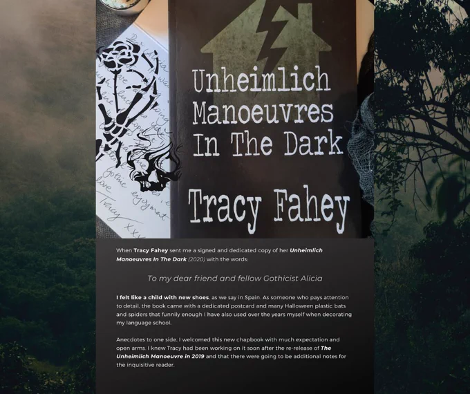 Book cover on a dark forest background
