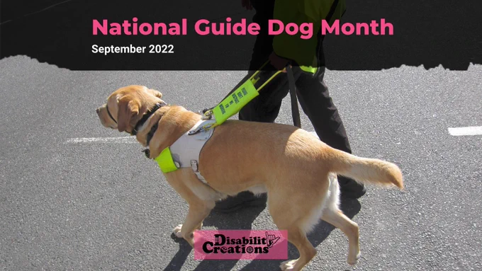 It says, "National Guide Dog Month. September 2022!" A picture of a man led by a guide dog on the road. The Disability Creations logo is at the bottom center.