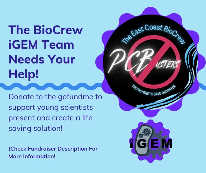 https://gofund.me/fc5dfa8c