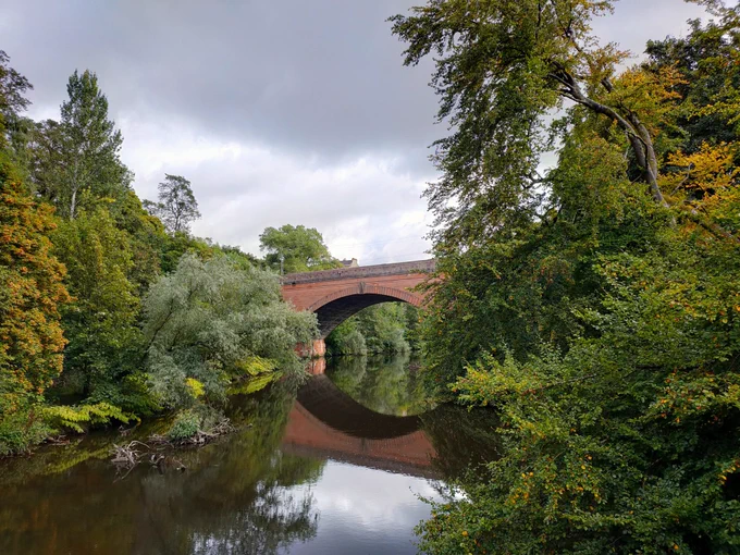 Bridge in river with trees on either side