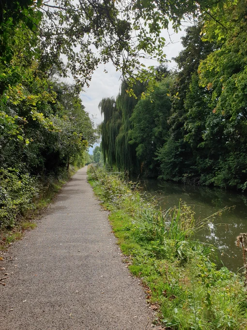 Canal with wide well surfaces tow path. Deciduous trees on either side.