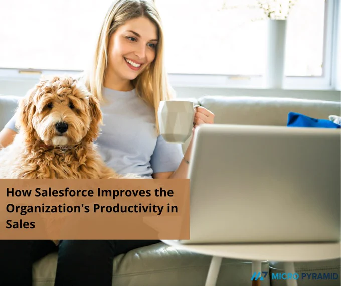 Salesforce Productivity