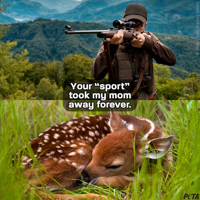 Image of a hunter aiming a gun on top of an image of a sleeping baby dear. 

Text reads: Your “sport” took my mom away forever. 