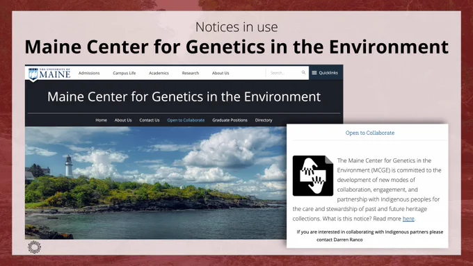 Text at top: “Notices in use. Maine Center for Genetics in the Environment.” On a decorative red background, two screenshots, overlapping. The back screenshot shows the Maine Center for Genetics in the Environment homepage. The screenshot in the foreground shows the Open to Collaborate Notice and text.