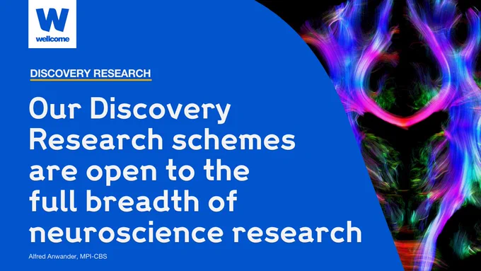 Info card reads ‘Our Discovery Research schemes are open to the full breadth of neuroscience research’. To the right is an image of a healthy human brain from a young adult. The image was created by virtually dissecting the brain using data obtained from diffusion magnetic resonance imaging (MRI).
