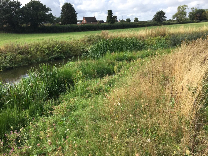 September '22 Late summer vegetation in full bloom! 