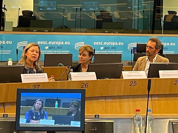 Raluca Painter, of the Commission DG Reform