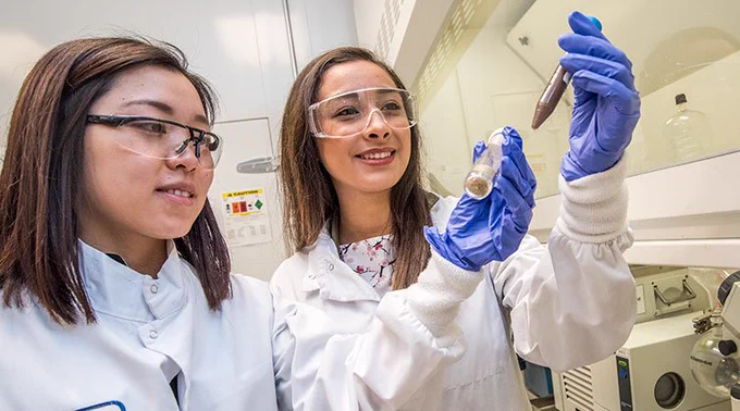 Photo of two female scientists wearing lab coats and purple safety gloves while holding test tubes and looking at them. 