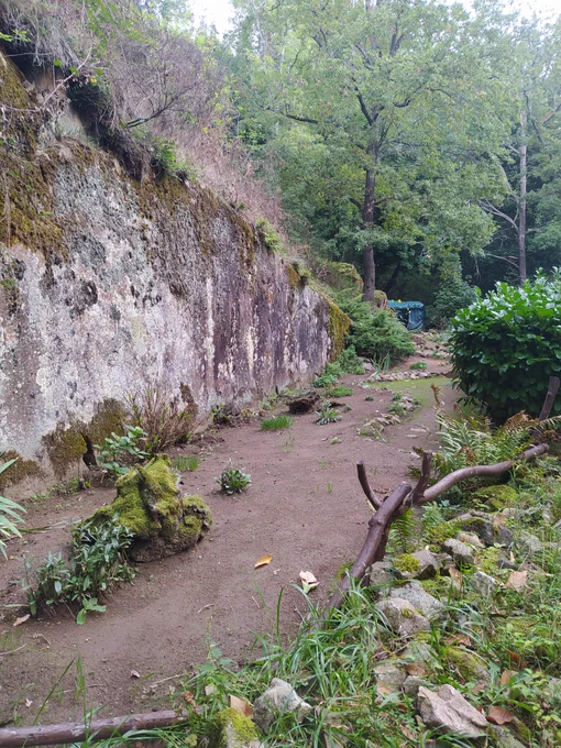Petit coin de terrain aménagé au milieu de la forêt sur les hauteurs de Royat