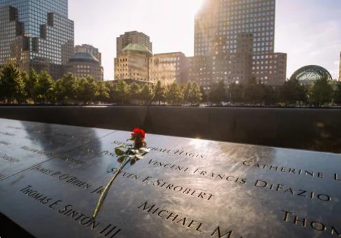 Photograph of red rose placed on memorial at Ground Zero