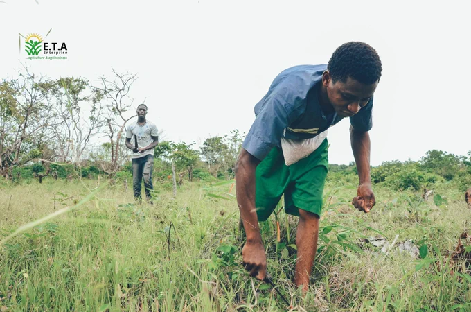 Some E.T.A Enterprise workers planting seedlings at Awo, Osun State, Nigeria.