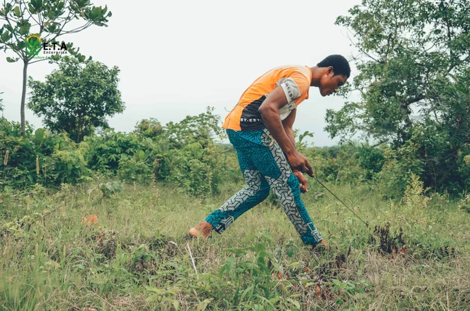 Some E.T.A Enterprise workers planting seedlings at Awo, Osun State, Nigeria.