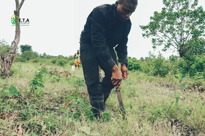 Some E.T.A Enterprise workers planting seedlings at Awo, Osun State, Nigeria.