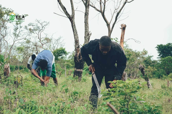 Some E.T.A Enterprise workers planting seedlings at Awo, Osun State, Nigeria.