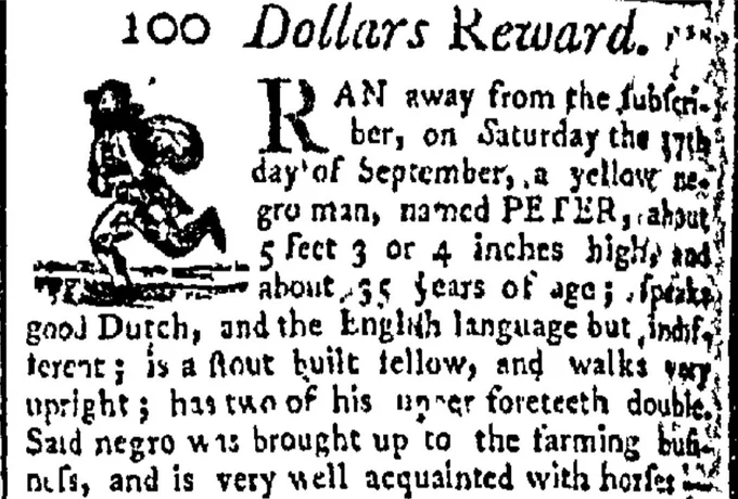 Runaway ad for the fugitive Peter, New York Gazette and Weekly Mercury, May 16, 1768