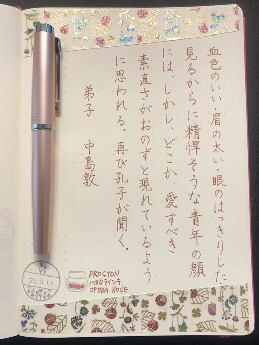 PROCYONさん、久しぶりに使ったのに、書きやすさ変わらん。しゅごい！