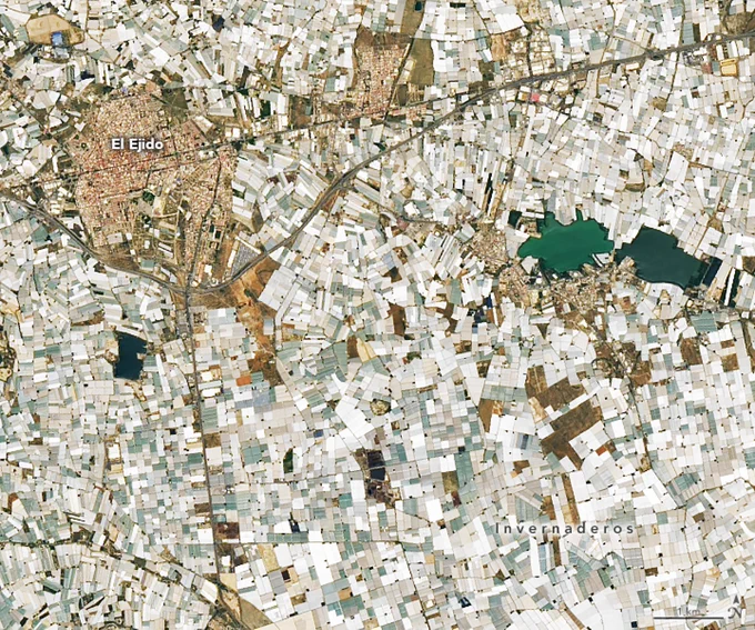 El 24 de mayo de 2022, el Generador operacional de imágenes de tierra 2 (OLI-2, por sus siglas en inglés) a bordo del satélite Landsat 9 capturó esta imagen en color natural de un mar de invernaderos de plástico alrededor del pueblo El Ejido, en España (señalado en la parte superior izquierda de la imagen). El pueblo se encuentra en una pequeña llanura costera llamada Campo de Dalías, que tiene una de las concentraciones más altas de invernaderos en el mundo. En la imagen, los invernaderos aparecen como pequeños rectángulos en tonos de blanco y gris.