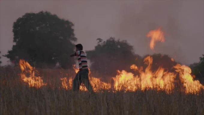 A scene from the film To Kill a Tiger. A young man in a striped shirt walks purposefully in front of a burning field.